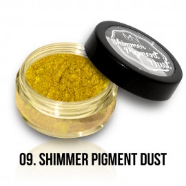 Shimmer Pigment Dust - 09 - 2g