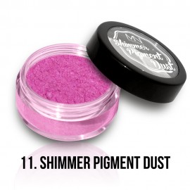 Shimmer Pigment Dust - 11 - 2g
