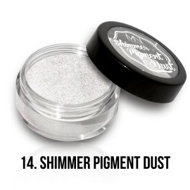 Shimmer Pigment Dust - 14 - 2g