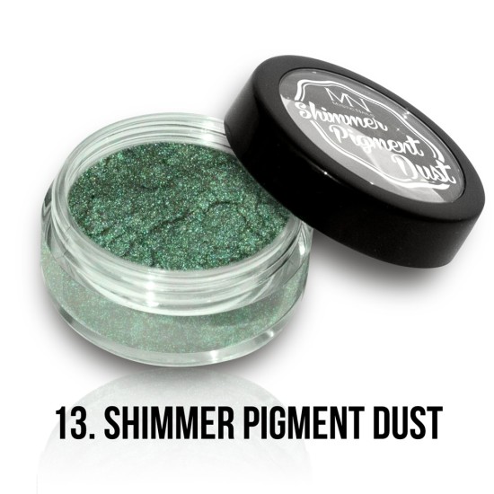 Shimmer Pigment Dust - 13 - 2g