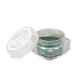 Shimmer Pigment Dust - 13 - 1,5g