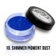 Shimmer Pigment Dust - 10 - 2g