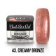 Painting Nail Art Gel - 43 - Creamy Bronze - 4g