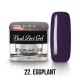 UV Painting Nail Art Gel - 22 - Eggplant - 4g