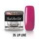UV Painting Nail Art Gel - 26 - Lip Love (HEMA-free) - 4g